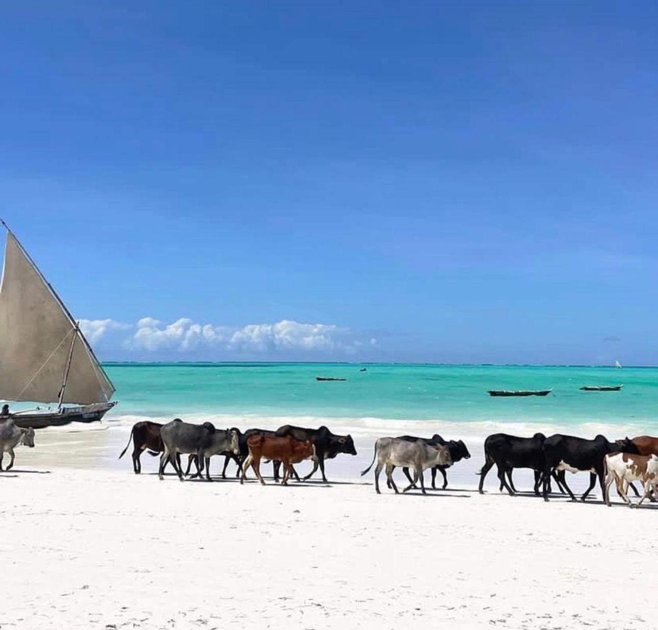 Your Zanzibar Place Paje Exterior foto