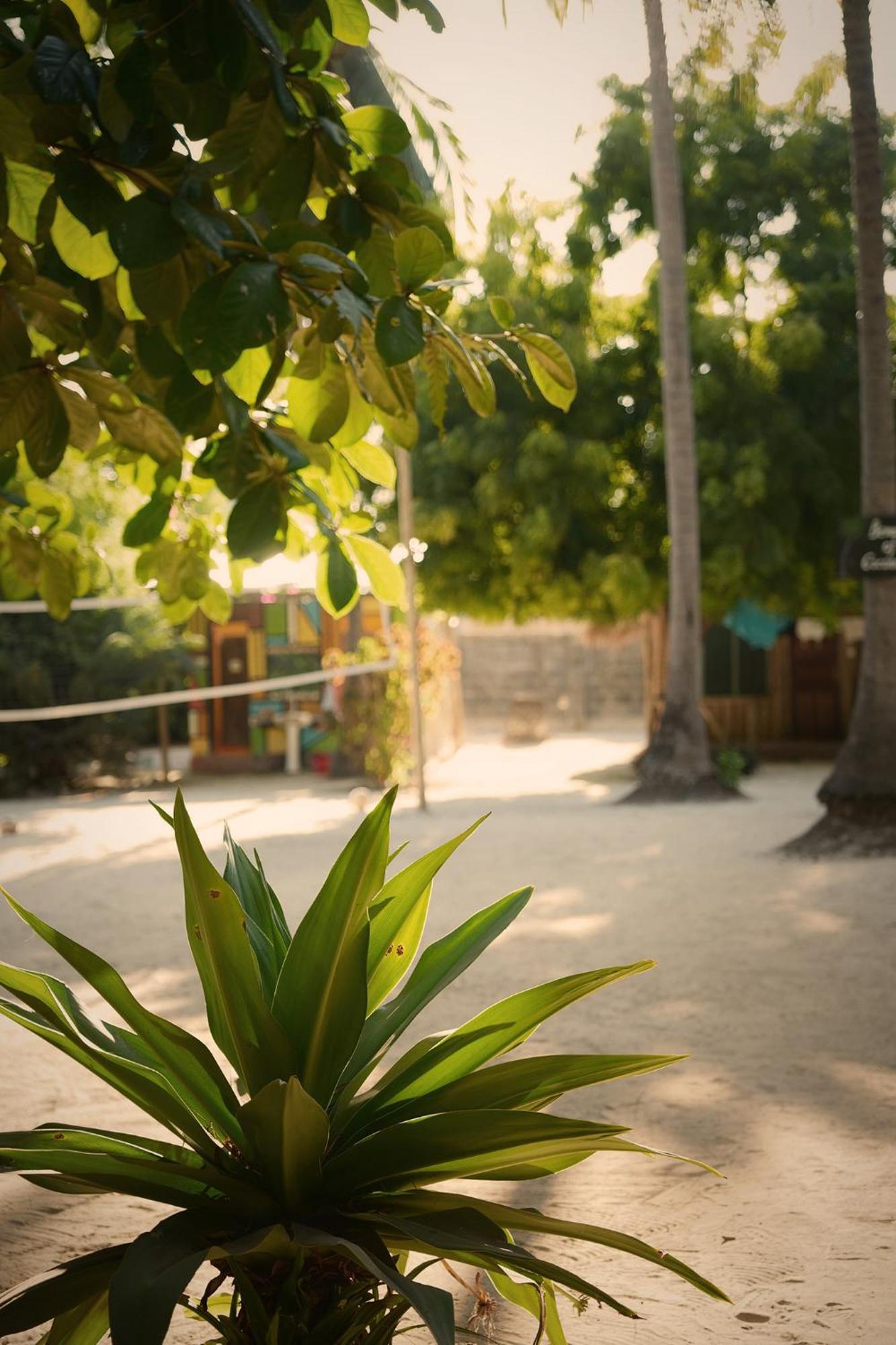 Your Zanzibar Place Paje Exterior foto
