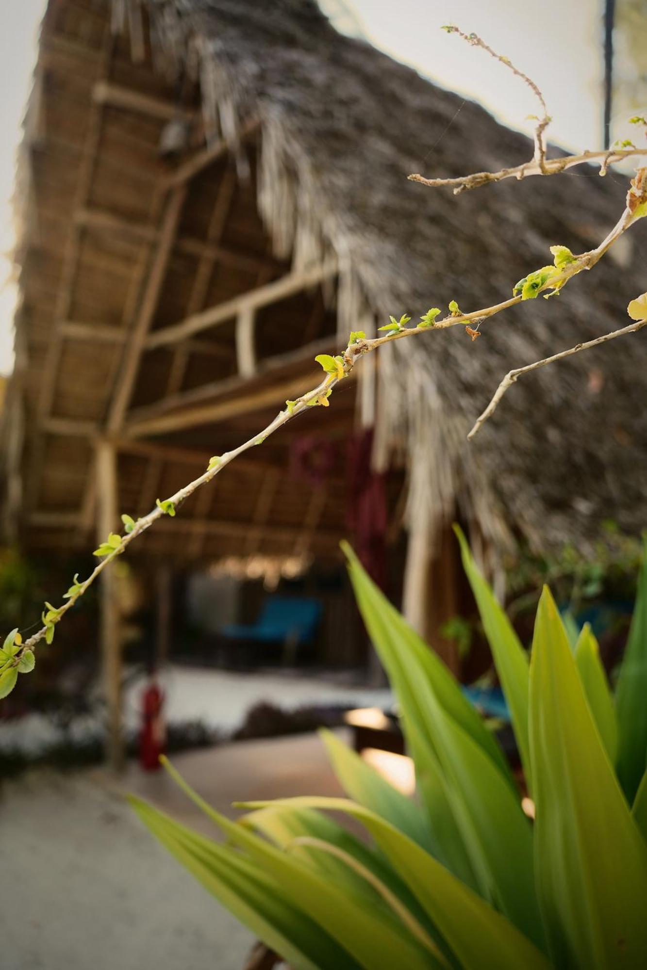 Your Zanzibar Place Paje Exterior foto